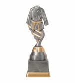 Judo pokal gold