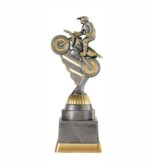 Motorcrooss pokal gold