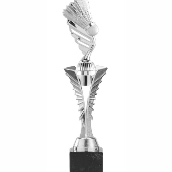 Badminton Pokal