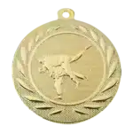 Judo-Medaille gold