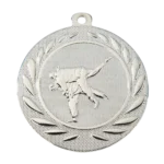 Judo-Medaille silber